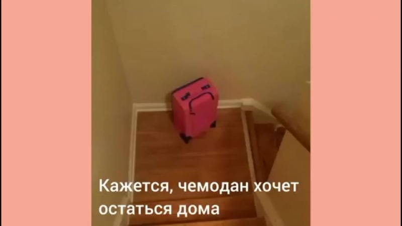 25 предметов, которые по эмоциональности превзойдут любого