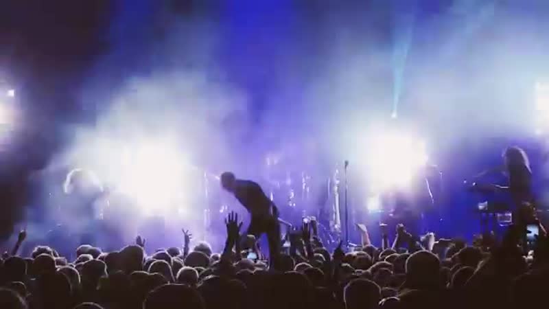Animal Джа Z Подстава ( Live