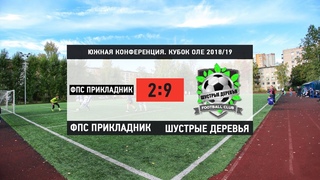 Кубок ОЛЕ 2018/19. ФПС Прикладник - Шустрые Деревья