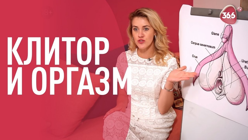Всё о женском Оргазме: Клитор и как он влияет на