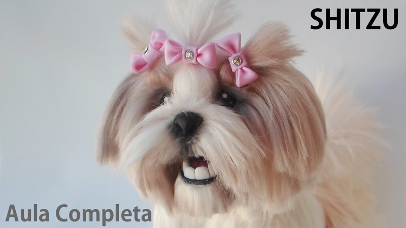 Aula Completa Cachorro SHITZU Peludo em Porcelana Fria, Pasta