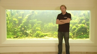 ANIMALISCH die Tiersendung   10`000 Liter Aquarium mit Andi Hofstetter