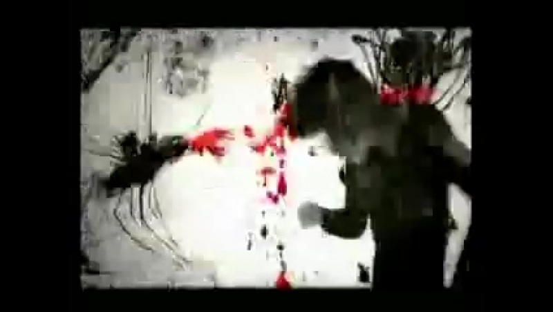 The Horrors She Is The New