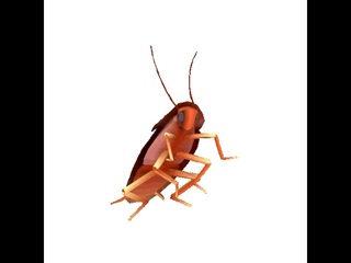Dancing Roach Autotune HD Remaster - Extended Cut