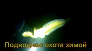 Подводная охота зимой в Башкирии.Трофейный карась.Ловля налима руками.Spearfishing 2019