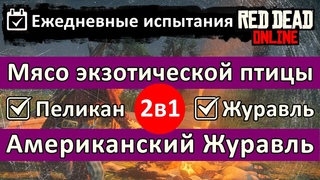 Американских журавлей ощипано Приготовлено мясо экзотической птицы с приправой. Ежедневное испытание в Red Dead Online