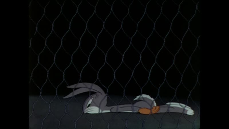 Bugs Bunny Elmers Pet Rabbit