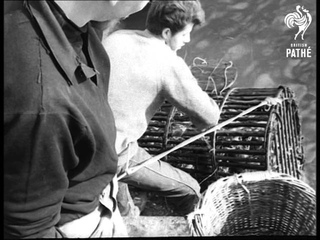 Look Out, Lobsters! (1965)