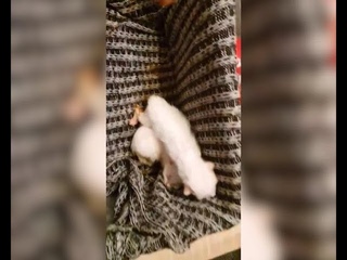 Преступление и спасение