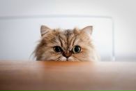 №39 Татьяна Дементьева 02.01: профиль, фото, статус - ВКонтакте