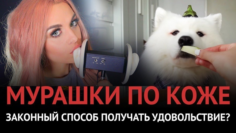 В ЧЕМ СЕКРЕТ ASMR Дети шепчут на камеру, а взрослые это