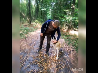 Коханічко мо