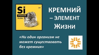 Кремний  элемент Жизни. Компания AUR-ORA