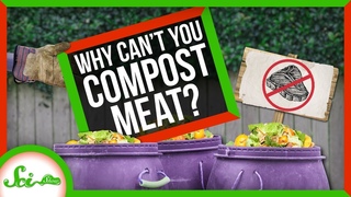 Why Can’t You Compost Meat?