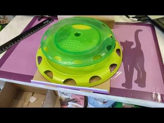 Игрушка для кошек трек с контейнером для кошачьей мяты