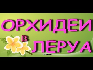 ЛЕРУА:чудесный ЗАВОЗ ОРХИДЕЙ,случайно ПОПАЛА в ЧЕТВЕРГ!,ТЦ Космопорт,Самара.