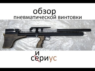 Обзор пневматической винтовки Сириус
