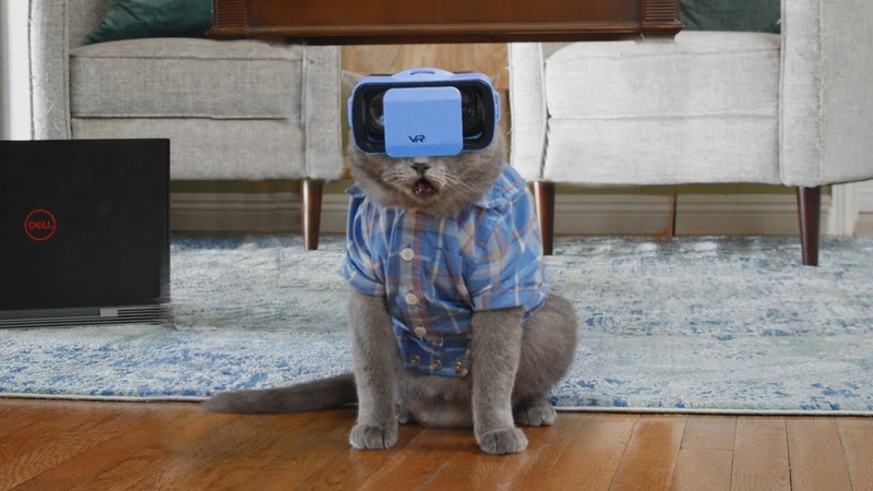 Cat Tries