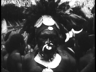 Wool Producing Experiment In New Guinea (1949)