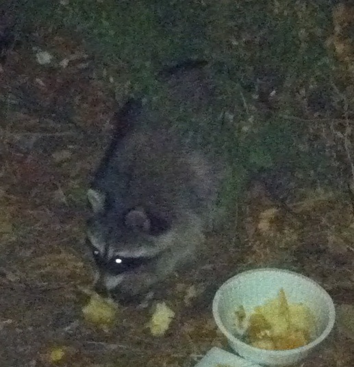 №77, Владислав Выставной, 50 лет №77, Владислав Выставной, 50 лет