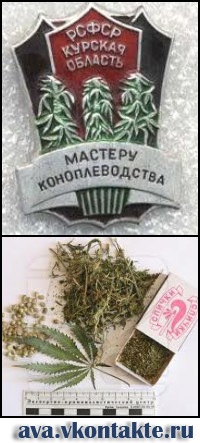 №30, Паша Танасиенко, Хмельницкий №30, Паша Танасиенко, Хмельницкий