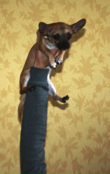 №86, Юлия Романенкова, 35 лет, Подольск №86, Юлия Романенкова, 35 лет, Подольск