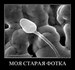 Геннадий Фролов фотография #3