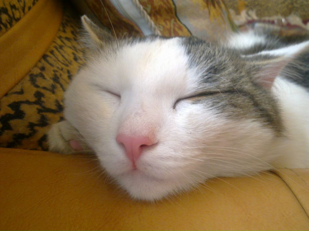 Оксана Крылепова | Екатеринбург