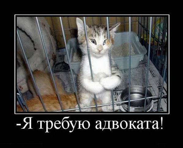 Алексей Самойлов | Самара