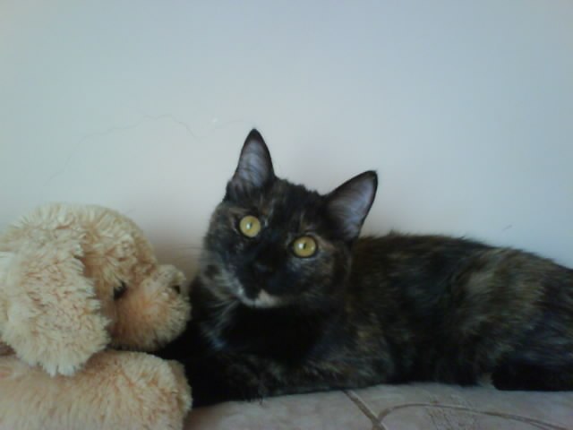 Ирина Довгалюк | Новокузнецк