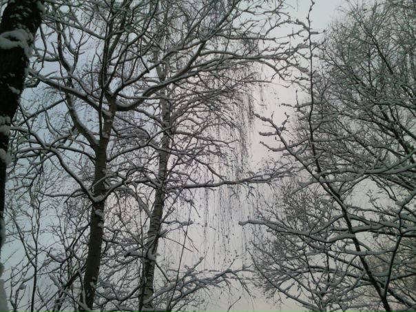 №16, Ман Ман, 32 года, Москва №16, Ман Ман, 32 года, Москва