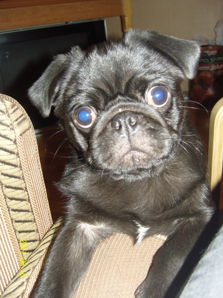 Мария Образцова | Тольятти