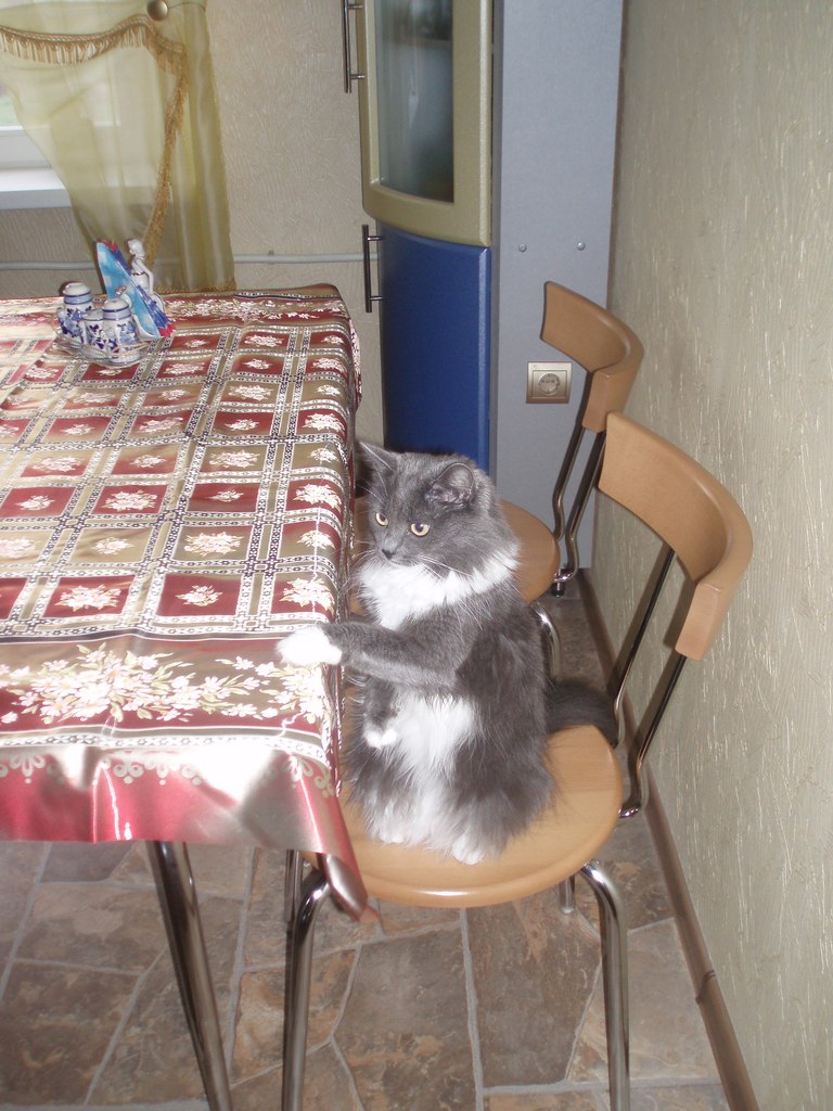 Анна Матвеева | Электрогорск