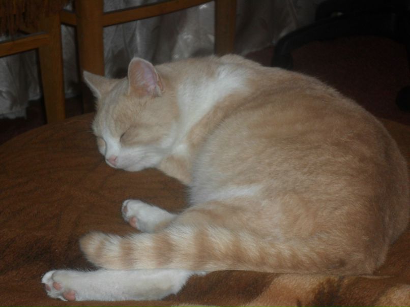 Алексей Жупанов lelik | Одесса