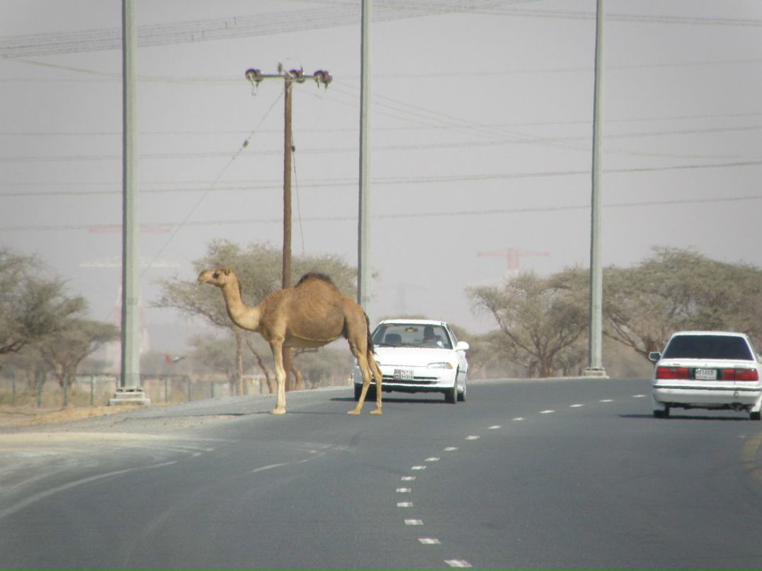 Инна Волкова | Санкт-Петербург