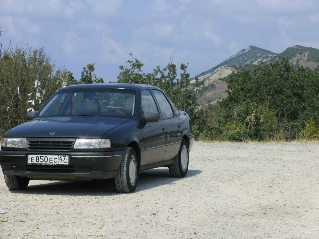 Александр Вежновец | 