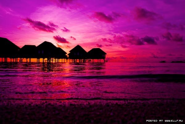 Евгения Усманова | Вышгород