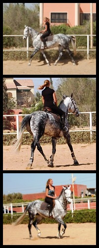 №187, Кэтрин Бондаренко №187, Кэтрин Бондаренко