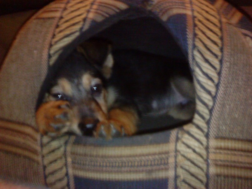 Татьяна Листратова | Москва