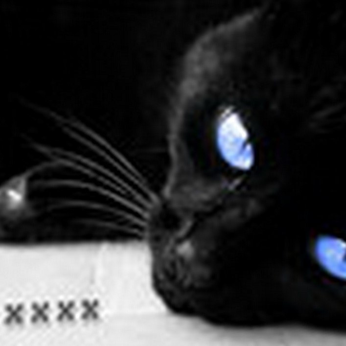 Алёна Староверова | Харьков