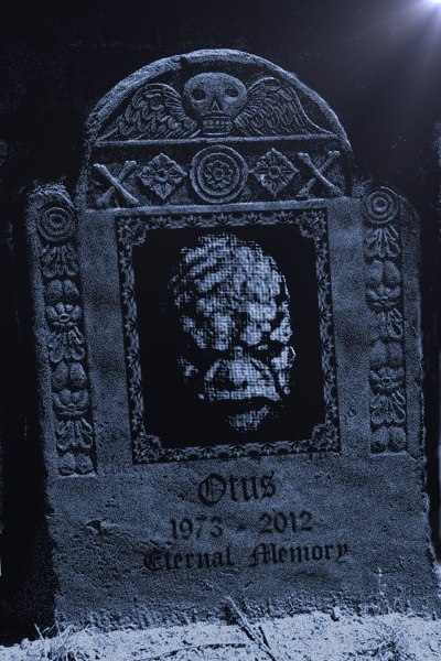 Кай Хермани-Ивл | Москва