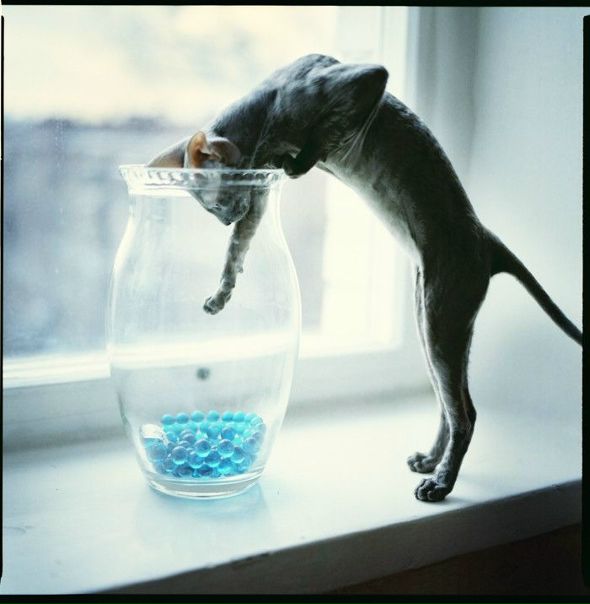 №107, Анастасия Бурмакина, 39 лет, Киев №107, Анастасия Бурмакина, 39 лет, Киев