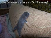 №36 Наталия Беляева 15.05.1987: профиль, фото, статус - ВКонтакте №36 Наталия Беляева 15.05.1987: профиль, фото, статус - ВКонтакте