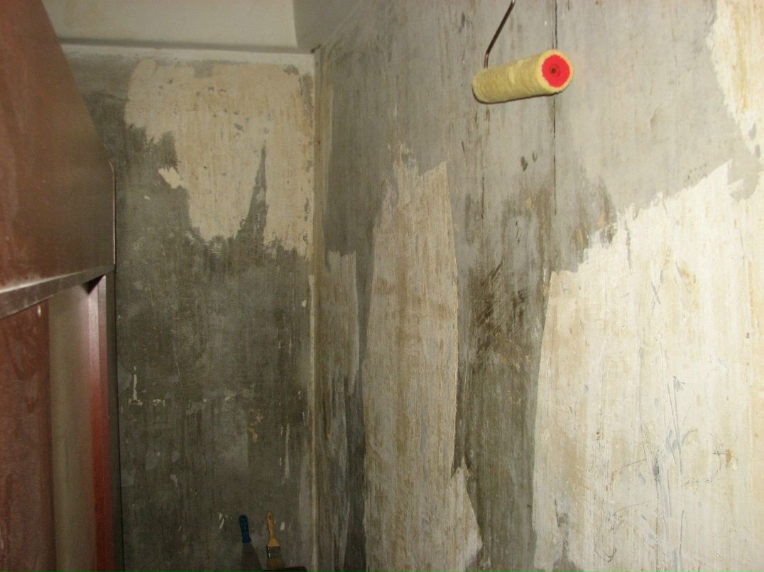 Саша Соколов | Санкт-Петербург