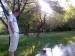 Руслан Сальцев фотография #11