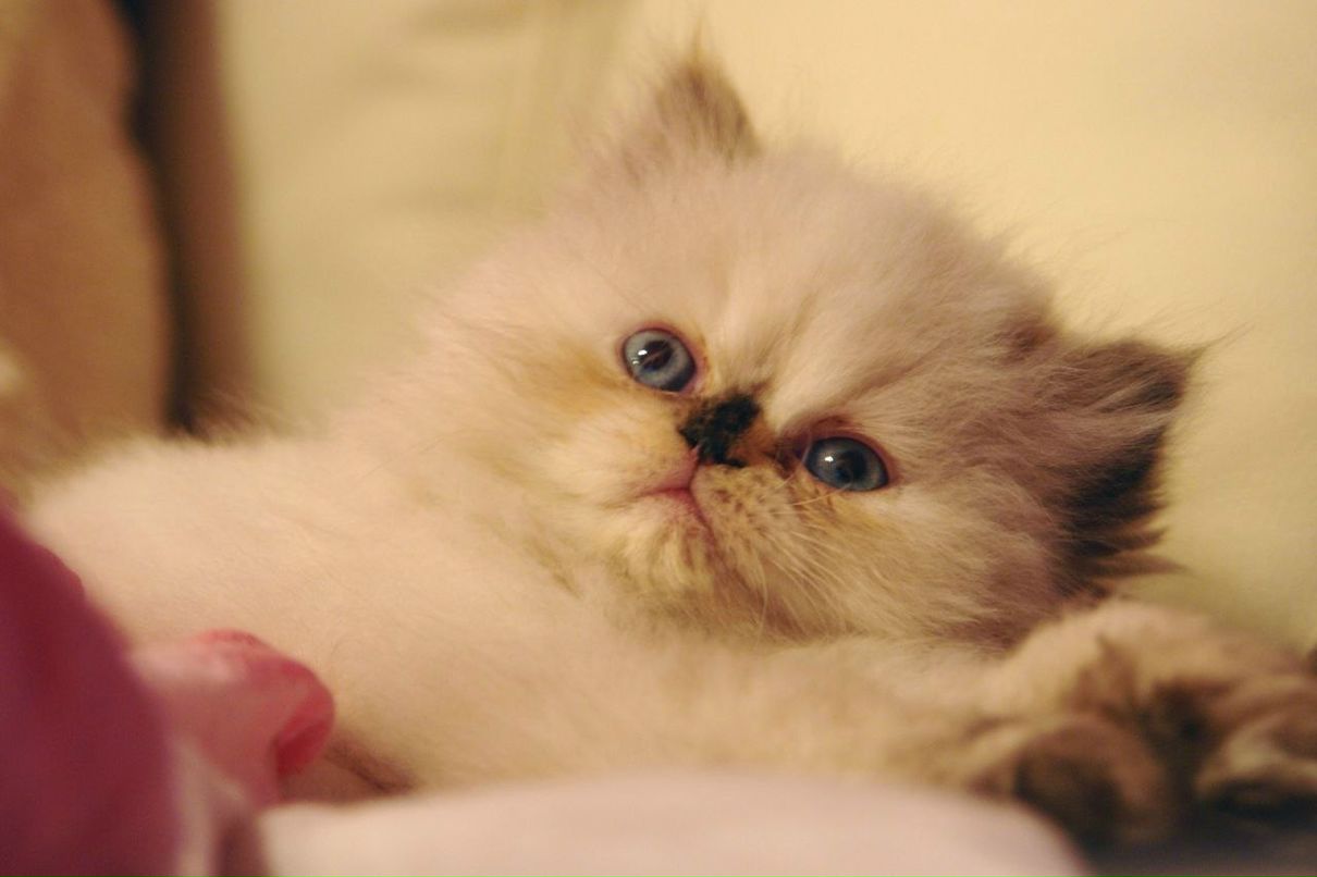 Екатерина Хрулёва ♥ | Москва