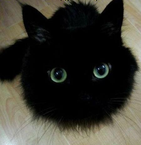 №131, Ник Князев, Череповец №131, Ник Князев, Череповец