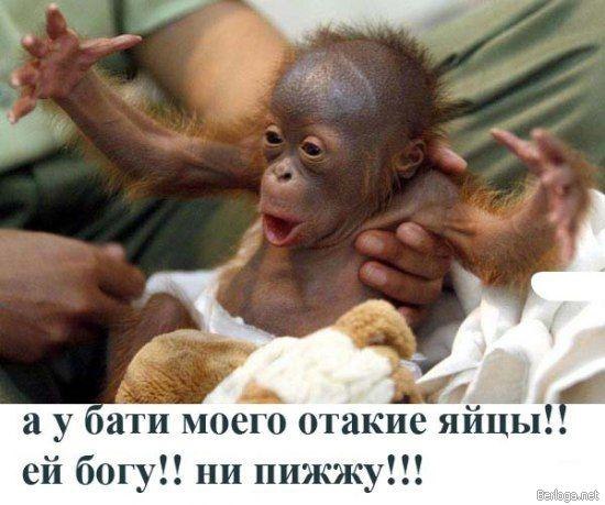 Алексей Павловский | Краматорск