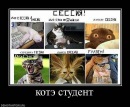 №38 Татьяна Никитина 07.03.1990: профиль, фото, статус - ВКонтакте