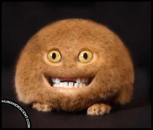 Андрей Трошков | Санкт-Петербург